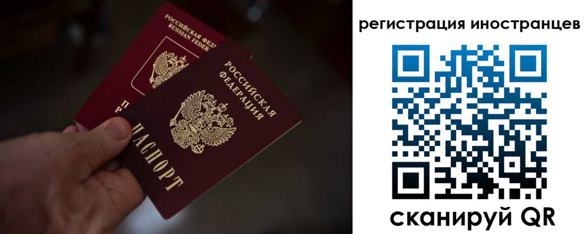 временная регистрация 2025 в Тихорецке